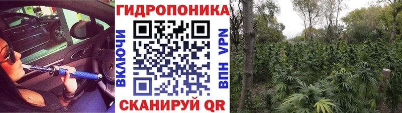 Виды наркотиков купить Подпорожье A PVP  Cocaine  МЕТАМФЕТАМИН  Бошки Шишки  ГАШИШ 