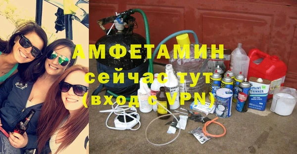 твердый Краснослободск