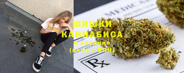 ECSTASY Абаза