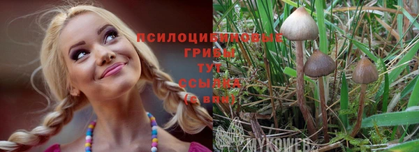 MDMA Premium VHQ Красноперекопск