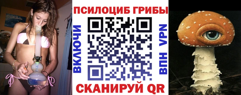 купить наркоту  Подпорожье  Галлюциногенные грибы Magic Shrooms 
